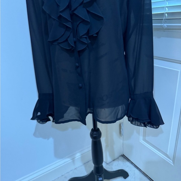 Louis Feraud stunning Black Sheer Ruffled Blouse size 6 - Picture 2 of 13